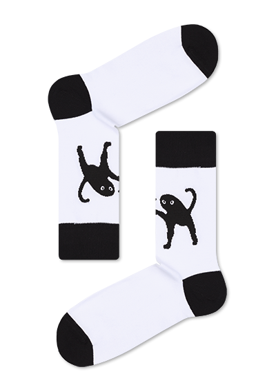 Cat meme socks – JNRB